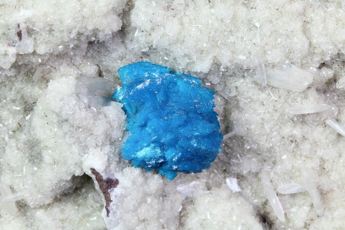 Vibrant Blue Cavansite Cluster on Stilbite - India #67806